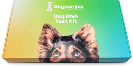 Dognimics Kit